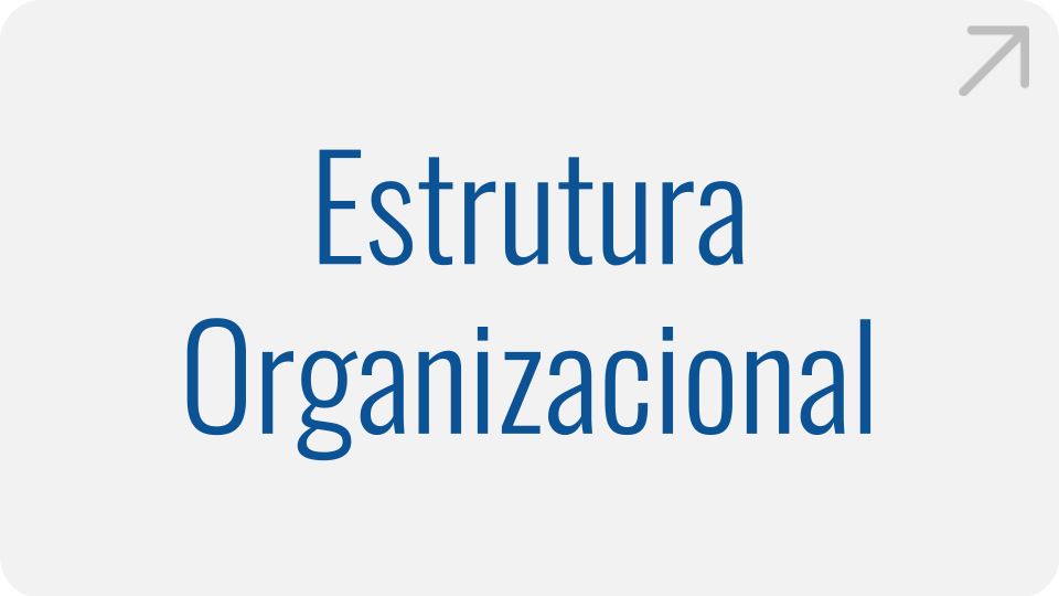 Estrutura Organizacional Estrutura Organizacional
