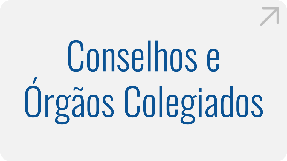 Conselhos e Órgãos Colegiados Conselhos e Órgãos Colegiados