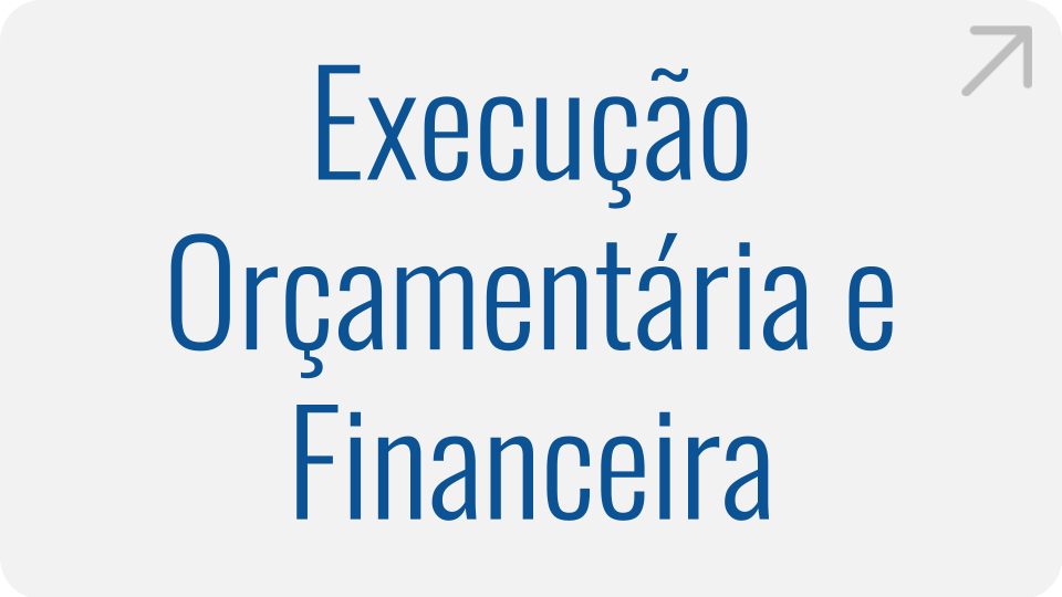 Execução Orçamentária e Financeira Execução Orçamentária e Financeira
