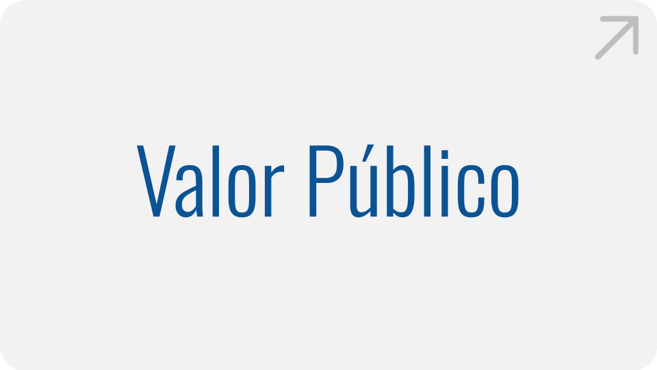 Valor Público Valor Público