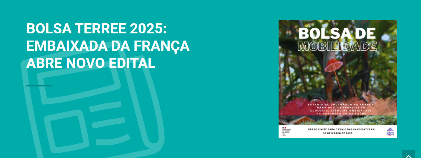 Captura de tela 2024-12-20 121325.png Captura de tela 2024-12-20 121325.png