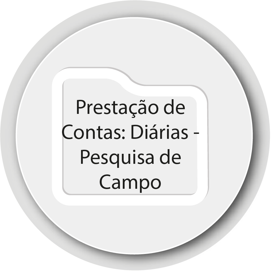 prestacaodecontas_diarias_pesquisadecampo.png