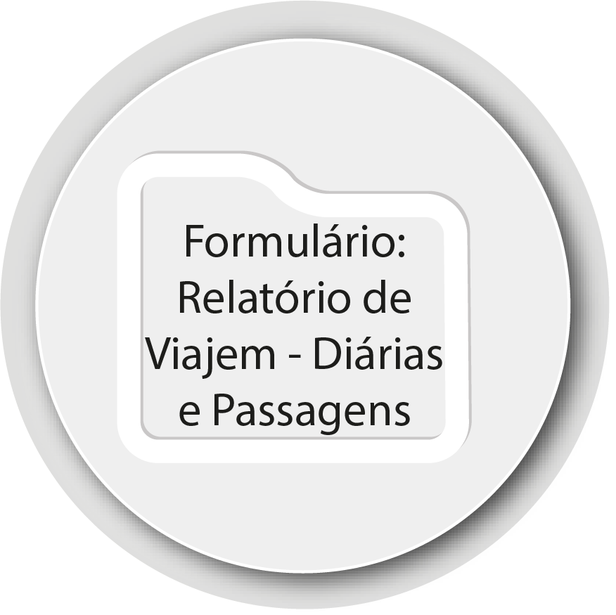 relatorio_viagem_diarias_passagens.png