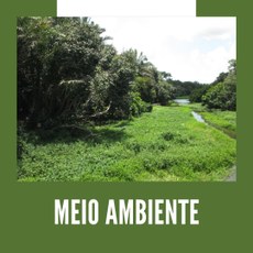 Meio Ambiente_Imagem: Comunicação PROEX Me