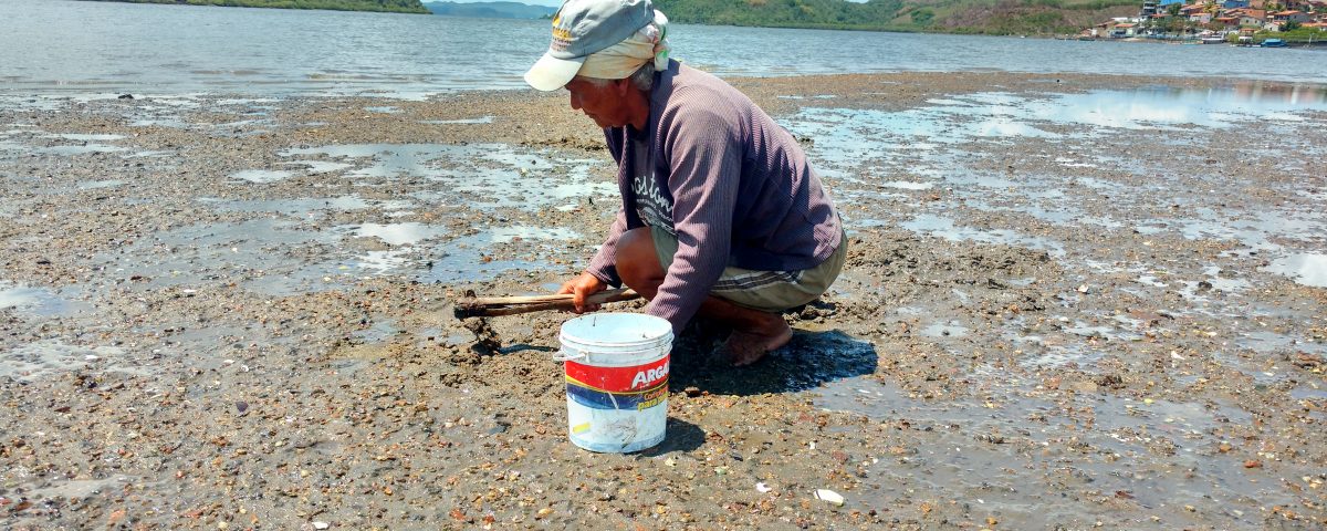 PESQUISAS SOBRE MARISCAGEM NO NORTE E NORDESTE PODEM CONCORRER A FINANCIAMENTO ATÉ 12 DE AGOSTO Foto: Humana Brasil