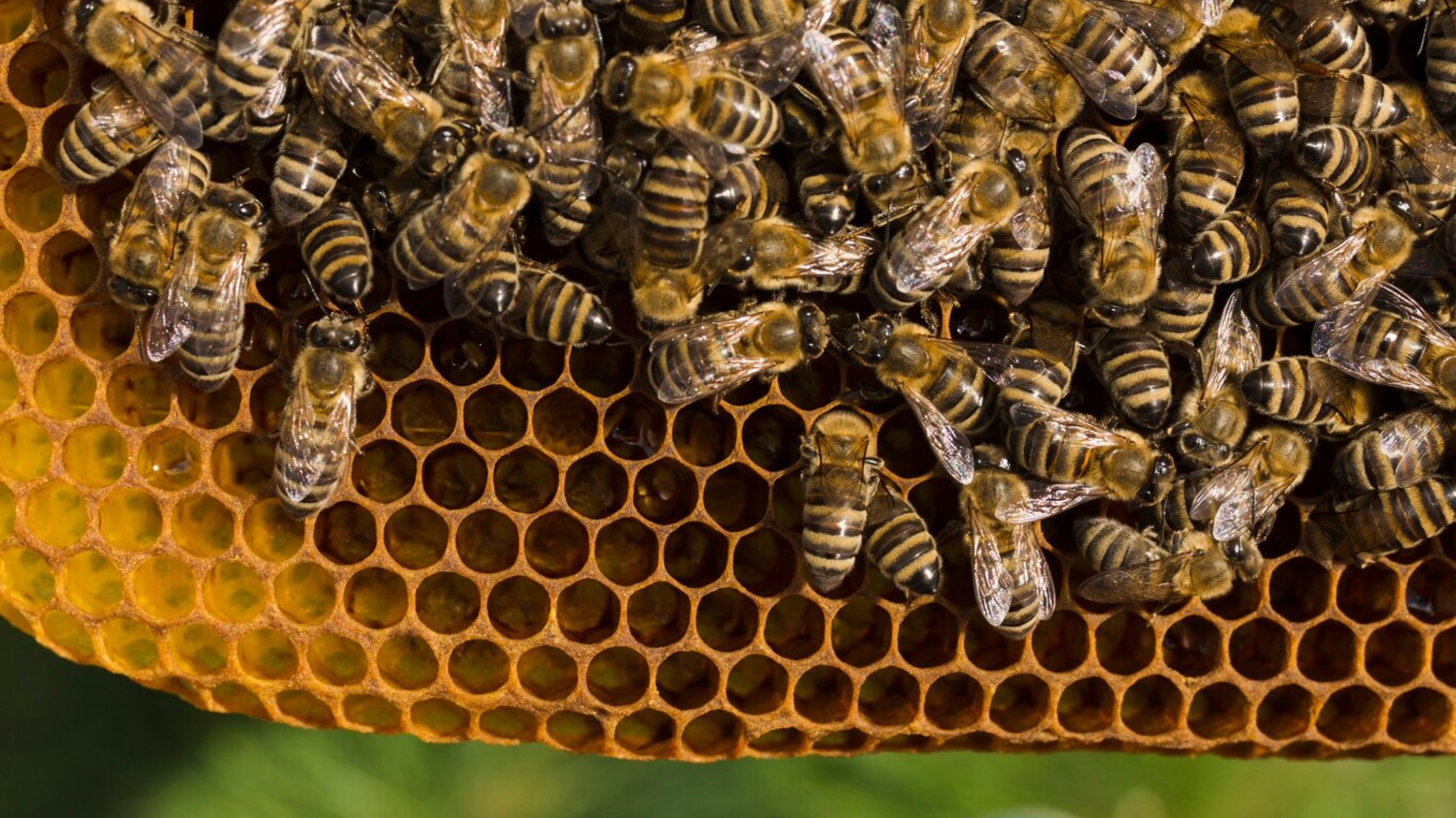 ESCOLAS TÉCNICAS DA UFPB INJETAM R$ 74 MILHÕES NA ECONOMIA, E PROFISSÕES RENDEM SALÁRIOS DE ATÉ R$ 6 MIL Foto: Freepik