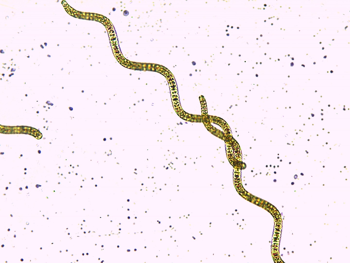 230920253.jpg 230920253.jpg