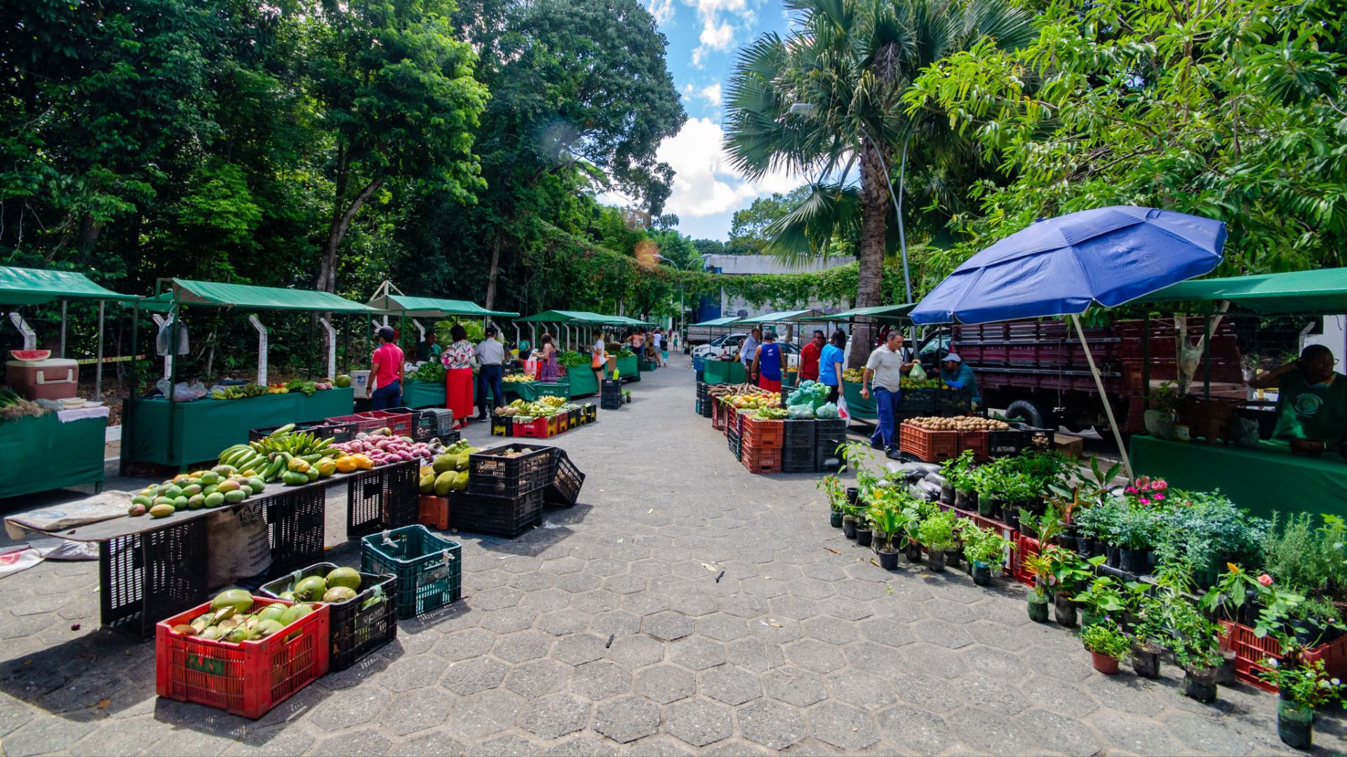UFPB lança Programa BemNutrir no Campus Bananeiras nesta quarta-feira (30)