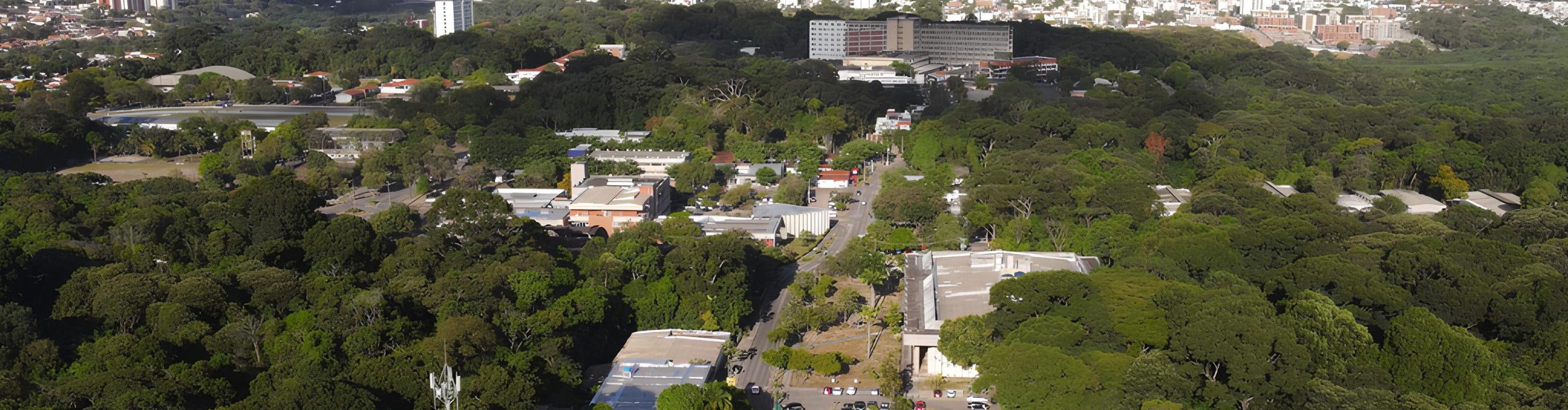 Imagem decorativa do site